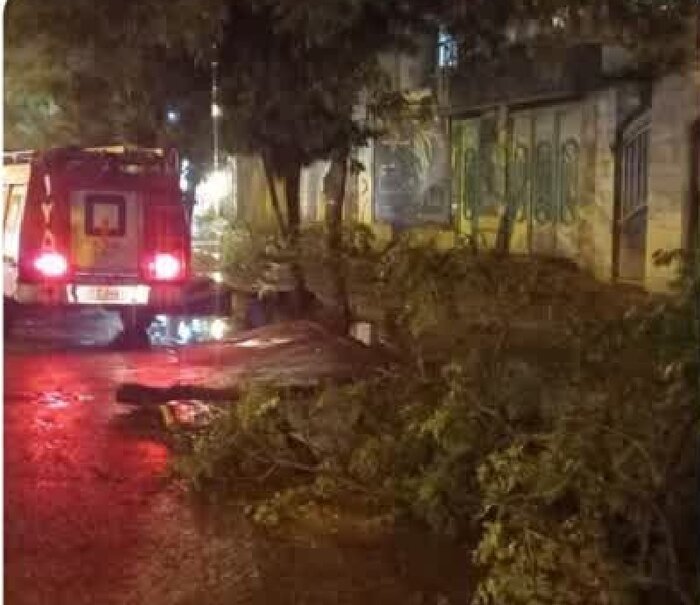 طوفان تندری در سبزوار ۶۶ حادثه را رقم زد