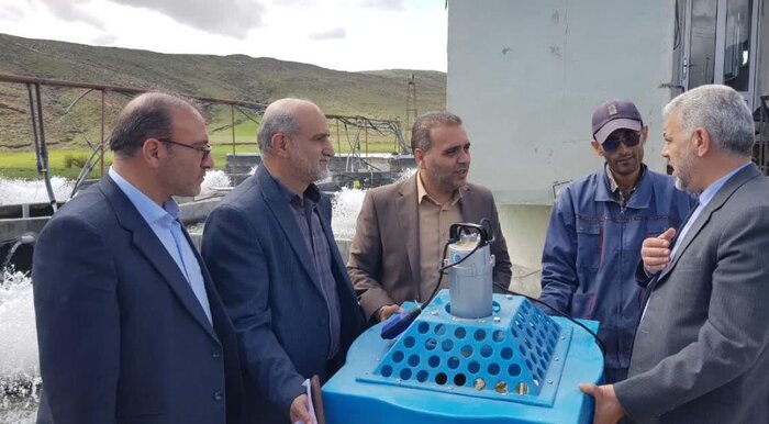 پیش‌بینی تولید ۲۸۱ تن ماهی قزل‌آلا در شهرستان نیر