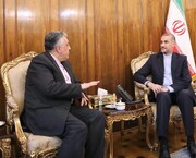 Iranian Ambassador to Belarus meets FM Amirabdollahian