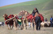 عشایر استان اردبیل از کوچ زودهنگام خودداری کنند