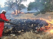 آتش سوزی در اراضی معمولان و چگنی لرستان مهار شد