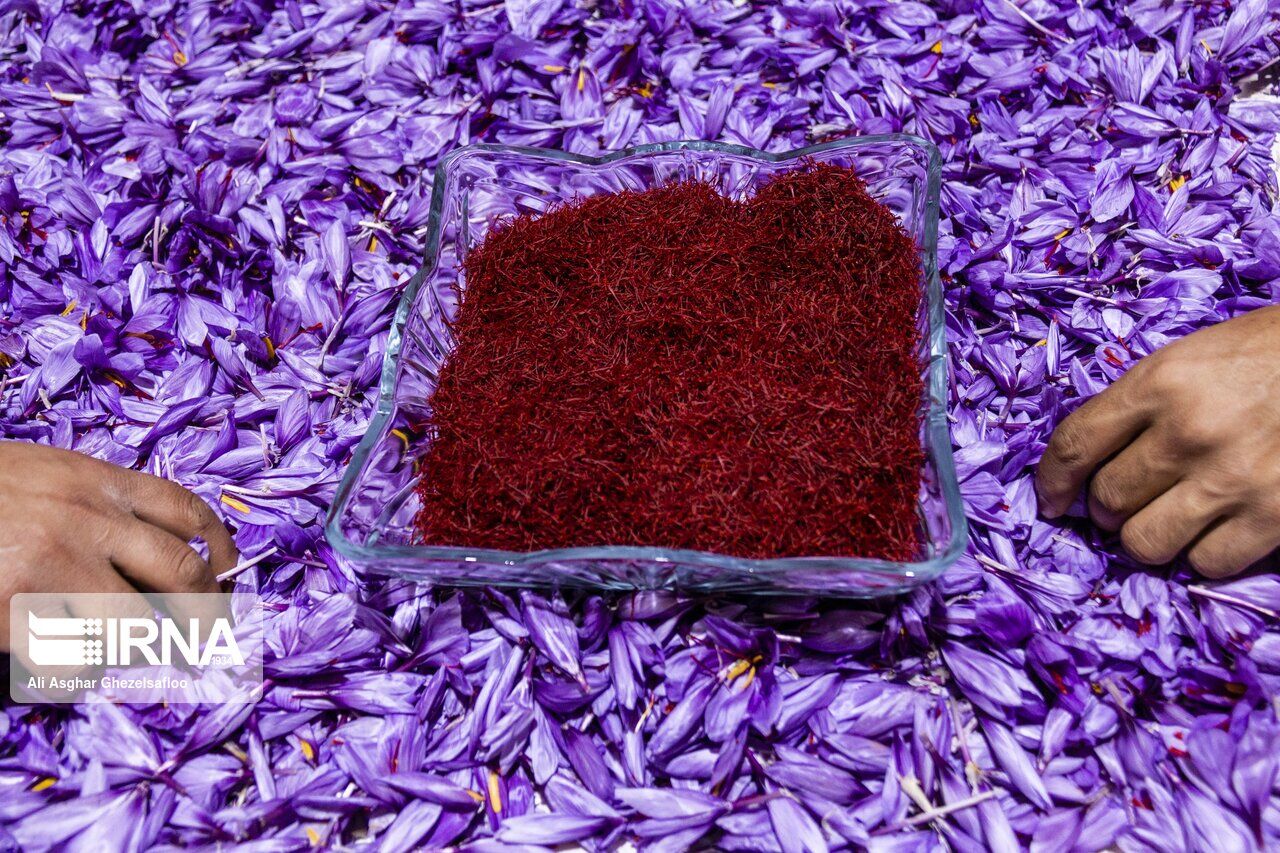 Iran’s saffron exports at over $207 mln in year to March