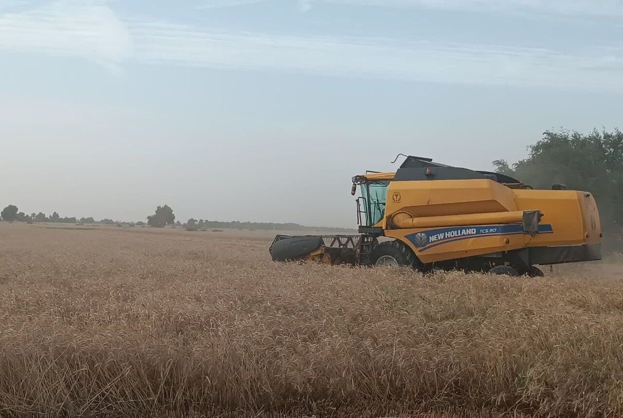 دست‌کم ۱۰.۵ میلیون تن گندم در کشور خرید تضمینی می‌شود
