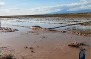 حوادث طبیعی ۷۵۰ میلیارد ریال به کشاورزان جوین خراسان رضوی خسارت زد