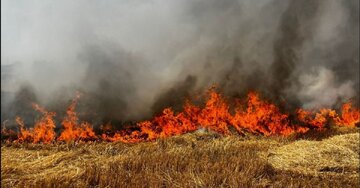 کشاورزان، کاه و کلش مزارع را آتش نزنند
