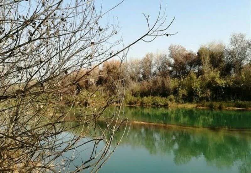 یک بیشه خوار در دزفول به حبس محکوم شد یک بیشه خوار در دزفول به حبس محکوم شد