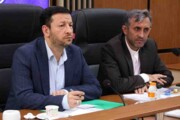 مدیرکل کار بوشهر: ۱۶ هزار مجوز مشاغل خانگی صادر شد
