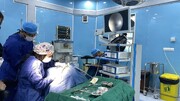 آندوسکوپی گوش در بیمارستان فوق تخصصی الزهرا (س) با موفقیت انجام شد
