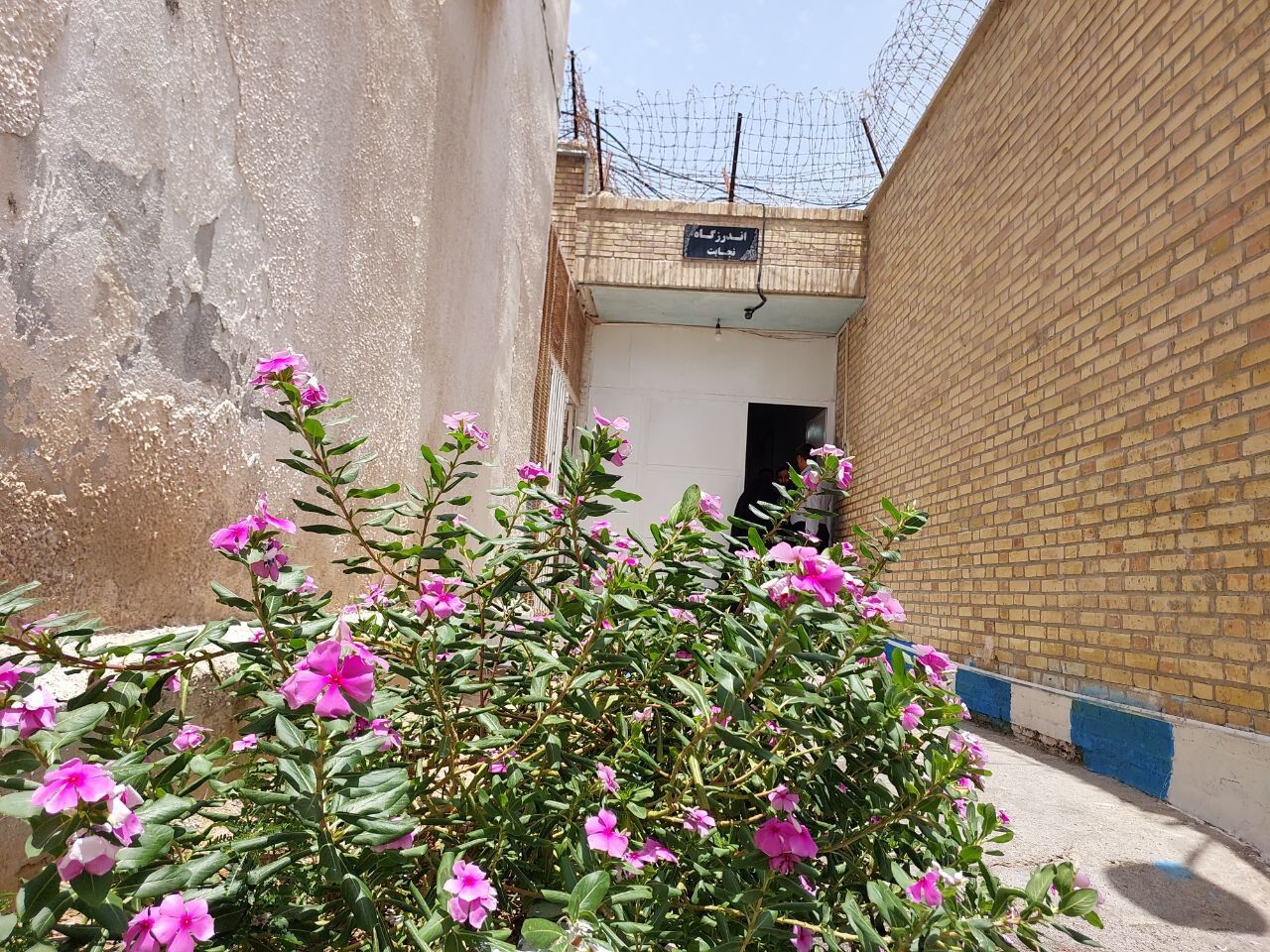 اندرزگاه نجابت / روایتی از ملاقات چهره به چهره با زنان زندان بندرعباس