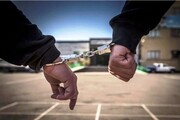 زندان پایان کار کلاهبردار میلیاردی از فروشندگان دارو در شهرری 
