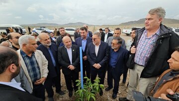 وزیر کشور از بزرگترین باغ گردو و پسته خاورمیانه در منطقه آزاد ماکو بازدید کرد