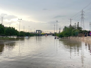 فیلم/ خودروهای گرفتار در سیلاب مشهد