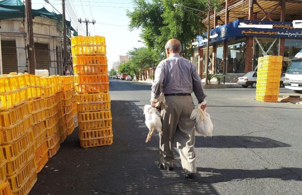 دست‌فروشی مرغ زنده، ماهی و آبزیان در یزد ممنوع