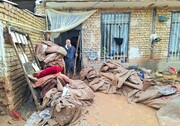سیلاب به هشت روستا در صالح آباد خراسان رضوی خسارت وارد کرد