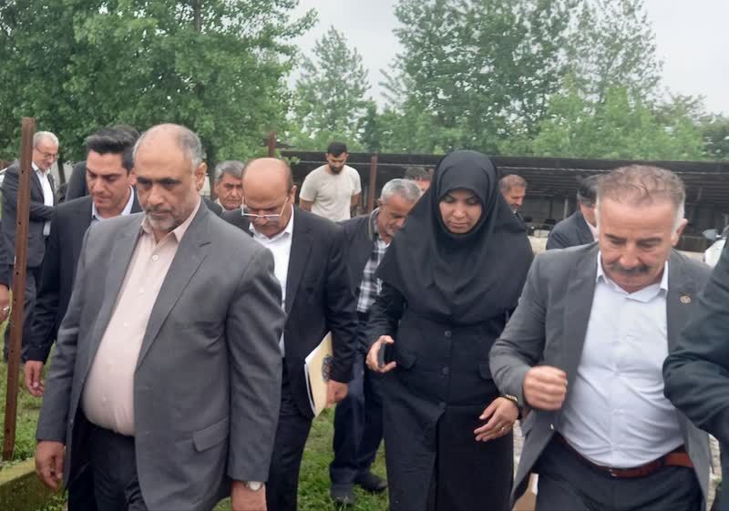 وزیر جهاد کشاورزی: نهادههای دامی با قیمت مناسب تامین میشود وزیر جهاد کشاورزی: نهادههای دامی با قیمت مناسب تامین میشود