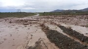 سیلاب مسیر روستایی در «کدکن» تربت‌حیدریه را مسدود کرد+ فیلم