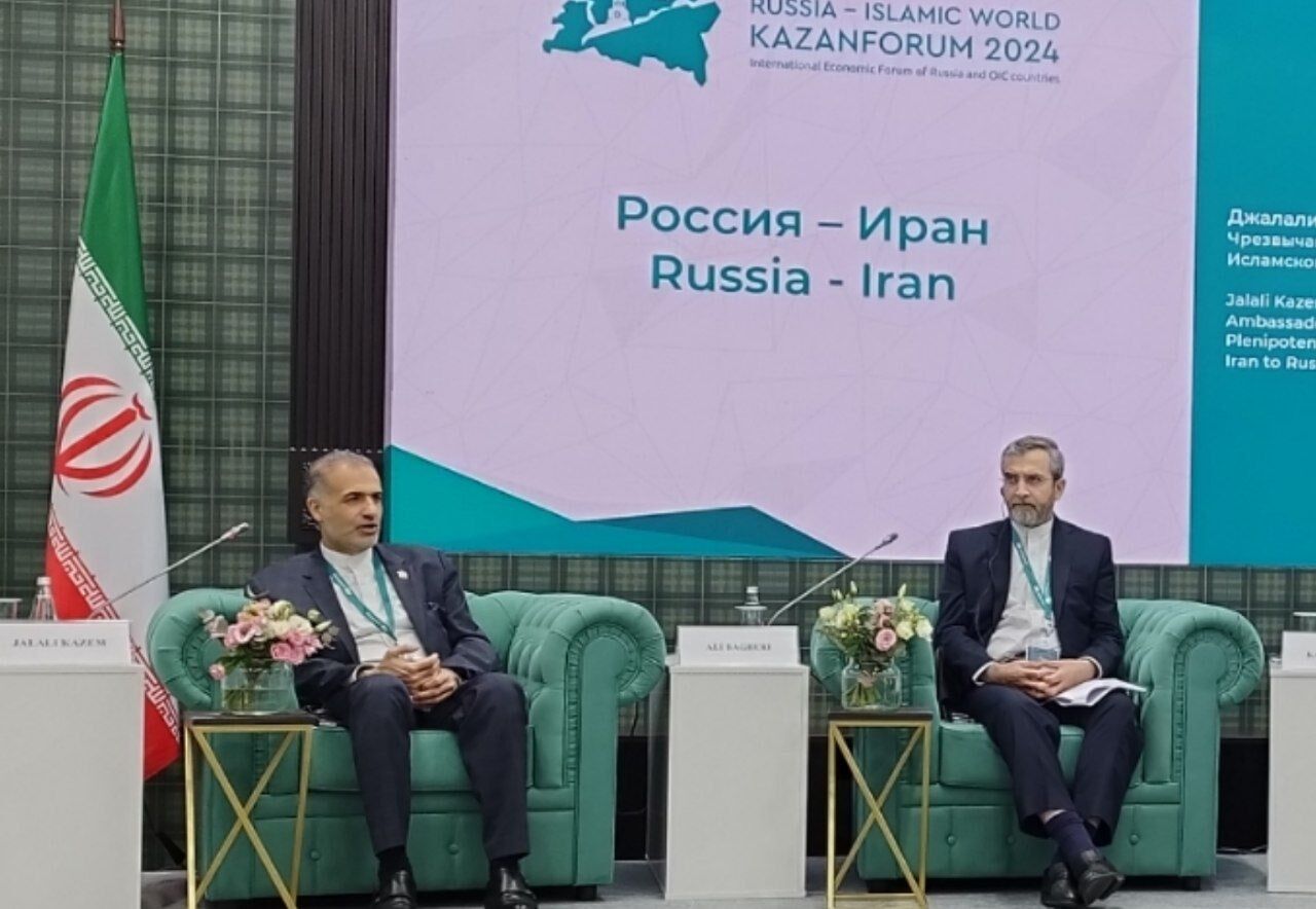 Iran invites Russian firms to invest in its tourism industry Iran invites Russian firms to invest in its tourism industry