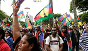 اعتراضات گسترده در کالدونیای جدید؛ ۶۰۰ نظامی فرانسوی نظم را تحمیل کردند
