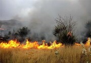 آتش سوزی در مزارع غلات زرنه ایوان مهار شد