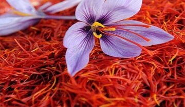 سه‌شنبه؛ ۶ هزار کیلوگرم زعفران صادراتی در بورس عرضه می‌شود