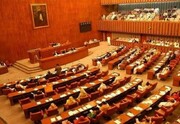 سنای پاکستان در سوگ شهادت رئیس جمهور ایران قطعنامه تصویب کرد