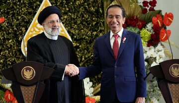 رئیس جمهور اندونزی شهادت ابراهیم رئیسی را تسلیت گفت