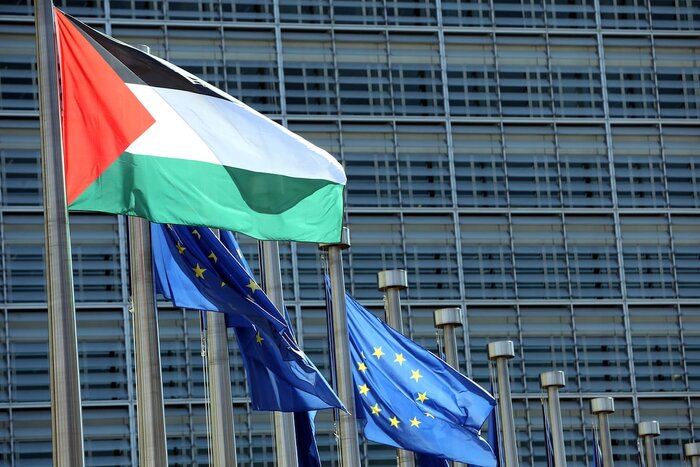 Efforts continue to increase support for Palestine in EU: Irish PM