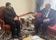 Le ministre égyptien des Affaires étrangères reçu par le président par intérim Mohammad Mokhber