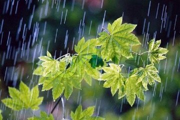 بارش ۹ میلی‌متری باران در «آب شیرین» کاشان