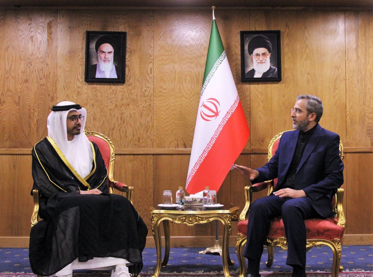 Iran to continue détente diplomacy with neighbors: Bagheri Kani