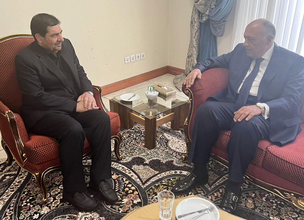 Le ministre égyptien des Affaires étrangères reçu par le président par intérim Mohammad Mokhber