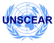 UNSCEAR holds minute of silence to honor martyrs of Iranian copter crash