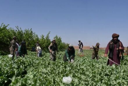 بیش از هزار تن مهاجر افغان به گونه‌ی اجباری از پاکستان عودت کردند