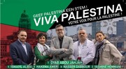 Election régionale en Belgique : le parti "Viva Palestina" veut faire reconnaître le "génocide de Gaza"