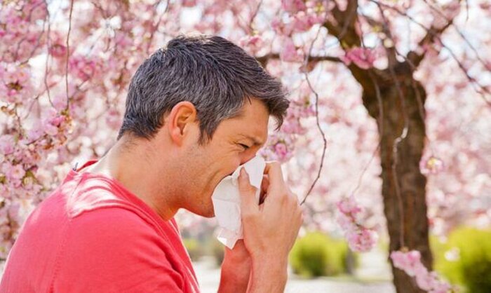 پیشگیری؛ کلید طلایی مقابله با حساسیت فصلی