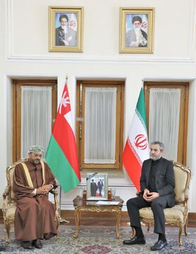 Iran, Oman insist on sending urgent aid to Gaza, stopping genocide of Zionist regime