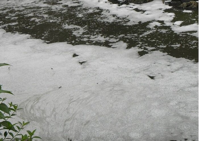 شوینده‌ها، عامل کف روی رودخانه اترک خراسان‌شمالی است