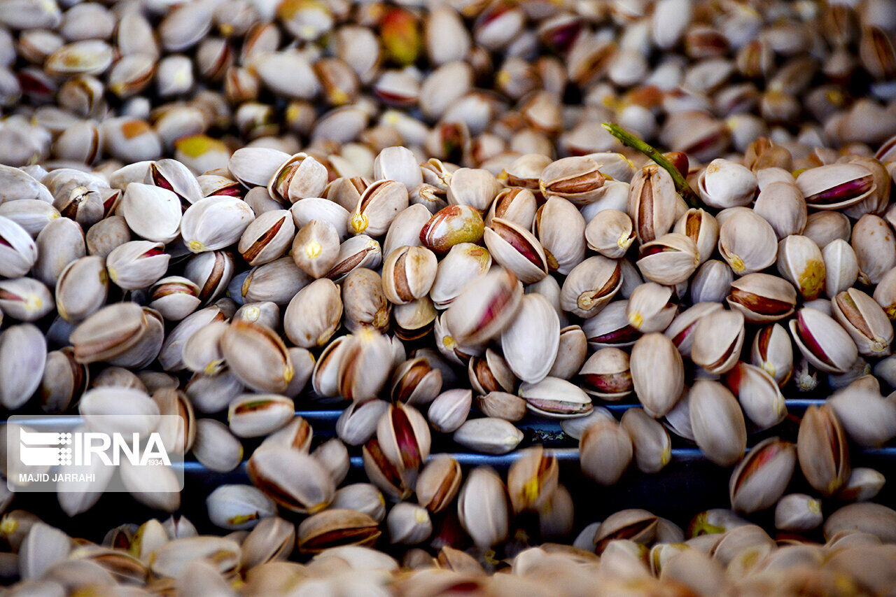Iran pistachio exports to EU up 17% y/y in first quarter 2024 Iran pistachio exports to EU up 17% y/y in first quarter 2024