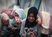 حماس : على المجتمع الدولي اتخاذ قرار واضح وحاسم بوقف انتهاكات القوانين الدولية