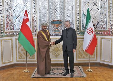 L’Iran et le Sultanat d'Oman soulignent la nécessité d'envoyer une aide humanitaire d'urgence à Gaza