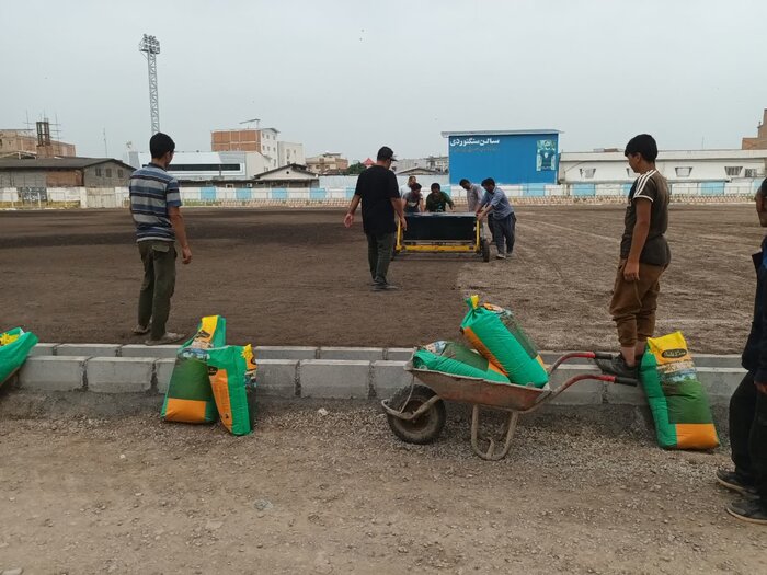 ورزشگاه هفت تیر بابل بذر پاشی شد