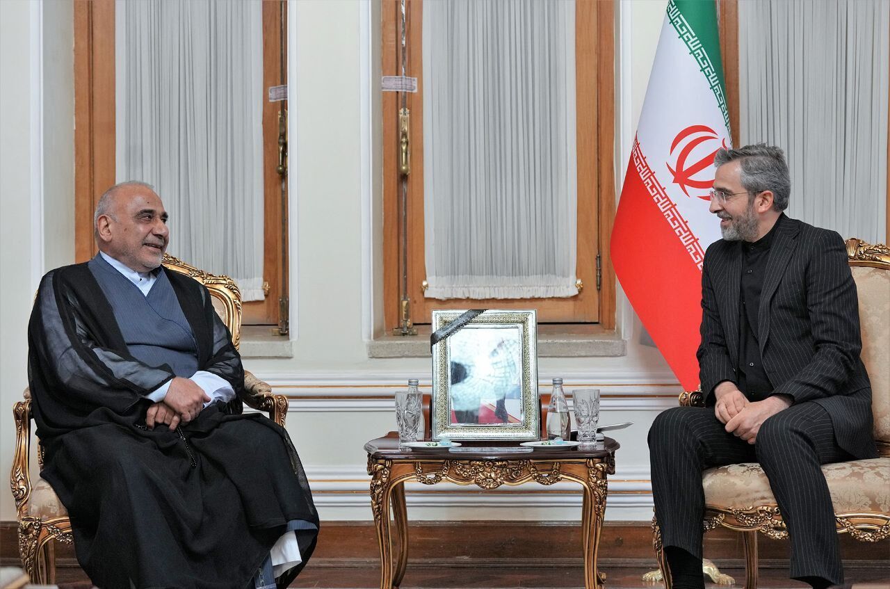 وزير الخارجية الايراني بالانابة يلتقي رئيس الوزراء العراقي السابق