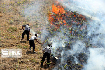 مراتع نظرآباد گچساران همچنان در آتش می‌سوزد