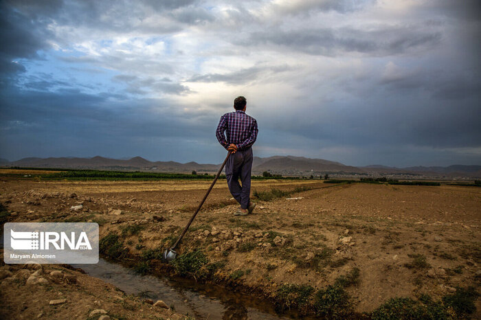 لنگرگاه امنیت غذایی کشور در احاطه خشکسالی