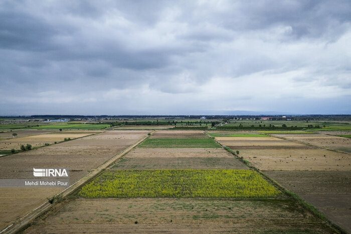 لنگرگاه امنیت غذایی کشور در احاطه خشکسالی