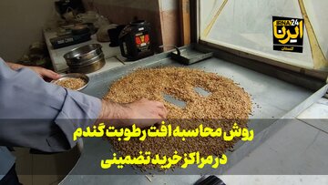 فیلم|افت گندم در مراکز خرید تضمینی چگونه سنجیده می‌شود؟