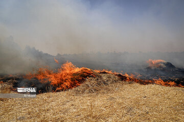 کشاورزان نسبت به مهار آتش‌سوزی مزارع خود بی‌تفاوت نباشند