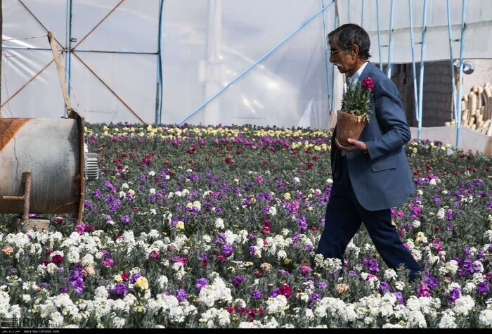 فیلم| تکاپو برای ساماندهی پایانه صادراتی گل و گیاه عباس آباد مازندران