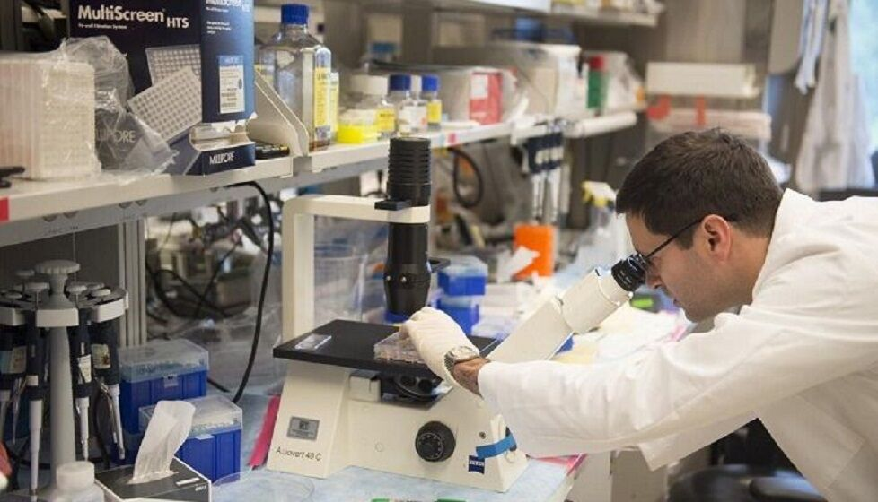 ارائه ۲۰ میلیون خدمات آزمایشگاهی در یک دهه اخیر به پژوهشگران