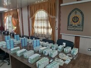 ۳۵ هزار قرص غیرمجاز خارجی در مهاباد کشف شد